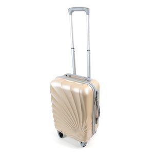 Hardside Spinner Luggage 20 Inch Carry On (Gold)